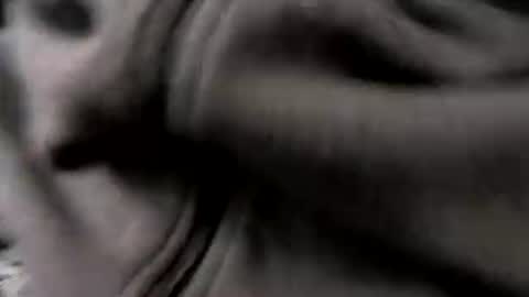 Snapshot of chicagosuburbs7 chatting on 16, 1, 2026 chicagosuburbs7 online show from 16, 1, 2026