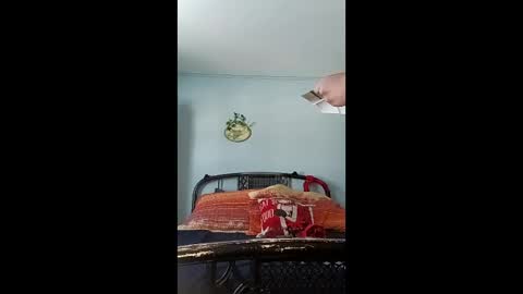 chichibird online show from 4, 12, 2025