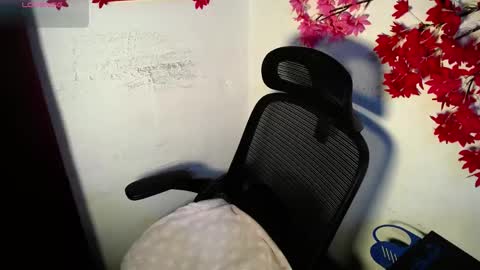 Snapshot of chleo_rosse chatting on 5, 6, 2026 chleo_rosse online show from 5, 6, 2026