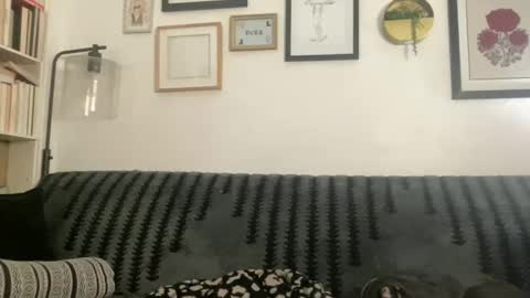 Chloe online show from 24, 12, 2024