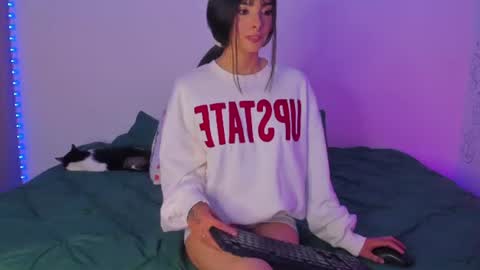  3 online show from 13, 6, 2026