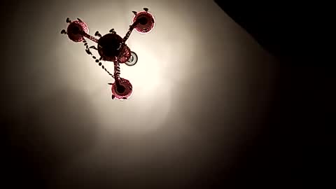 Vicki and Chris online show from 1, 11, 2025