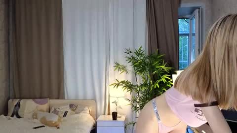 Ann online show from 8, 6, 2026
