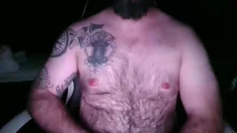 chub bear 99 online show from 21, 4, 2026