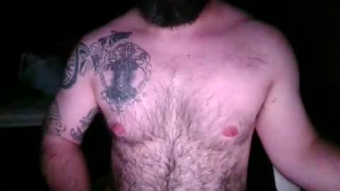 chub bear 99 online show from 25, 4, 2026