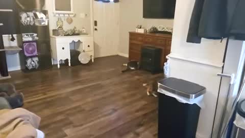 ChubbyHubby420 online show from 12, 9, 2025