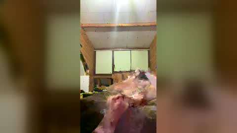 chzljqzbysno online show from 14, 1, 2026