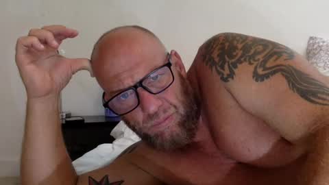 . online show from 11, 5, 2026