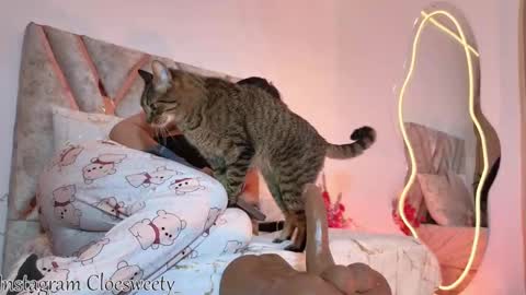 CLOE online show from 21, 9, 2025