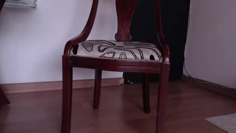 rocio online show from 7, 2, 2025