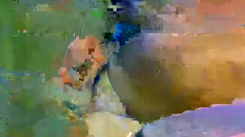 colourlight online show from 9, 11, 2025