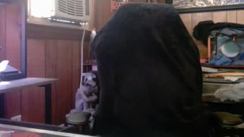 Snapshot of comic_king27 chatting on 8, 3, 2026 Nelson or ComicKing and sometime Peachy143 online show from 8, 3, 2026