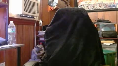 Snapshot of comic_king27 chatting on 4, 5, 2026 Nelson or ComicKing and sometime Peachy143 online show from 4, 5, 2026