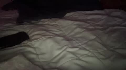 concretecarpenter online show from 9, 11, 2025