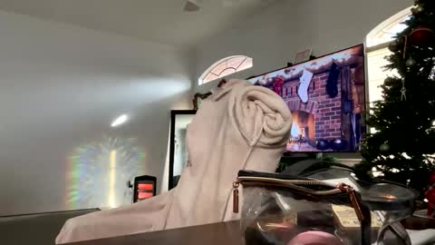 controllercutie online show from 17, 12, 2025