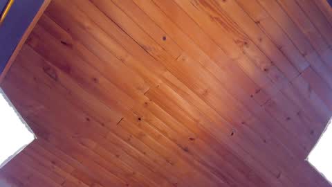 Snapshot of coraline_latin chatting on 24, 1, 2025 Coraline online show from 24, 1, 2025