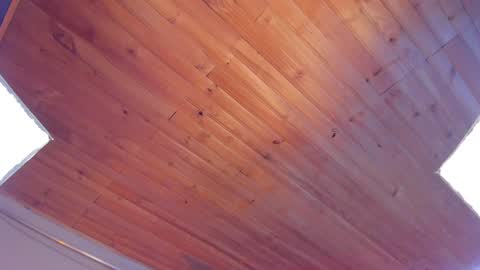 Snapshot of coraline_latin chatting on 25, 1, 2025 Coraline online show from 25, 1, 2025