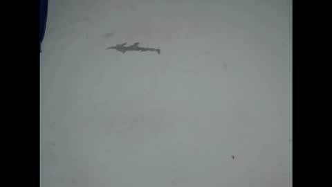 cornxcunt online show from 18, 2, 2026