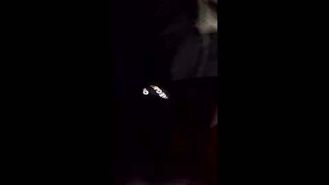 Snapshot of cory58596 chatting on 14, 2, 2026 cory58596 online show from 14, 2, 2026