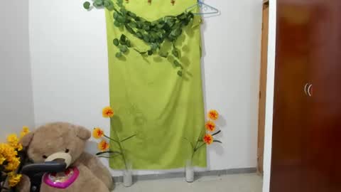 Snapshot of corzoethan chatting on 27, 1, 2025 Ethan online show from 27, 1, 2025