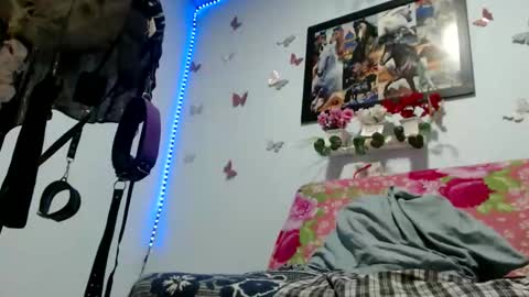 sofiabigcock69 online show from 2, 3, 2026