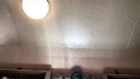 Snapshot of countryjoe2002 chatting on 18, 12, 2025 countryjoe2002 online show from 18, 12, 2025