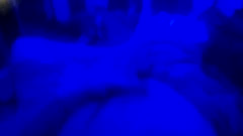 Snapshot of countrystudd chatting on 23, 12, 2025 Countrystudd online show from 23, 12, 2025