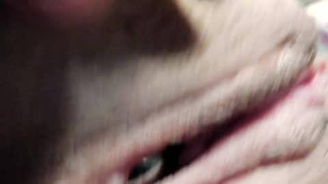 Im Courtney Nice to meet youFollow meInstagram courtneyluv778 online show from 30, 1, 2025