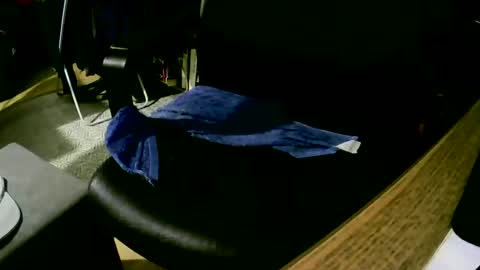 Snapshot of coyote017 chatting on 9, 2, 2025 coyote017 online show from 9, 2, 2025