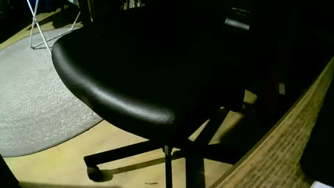 Snapshot of coyote017 chatting on 25, 2, 2025 coyote017 online show from 25, 2, 2025