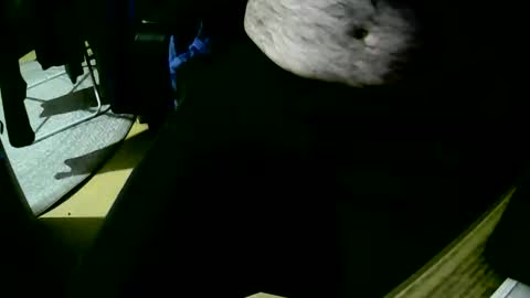 Snapshot of coyote017 chatting on 22, 10, 2025 coyote017 online show from 22, 10, 2025