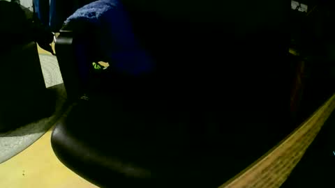 Snapshot of coyote017 chatting on 1, 11, 2025 coyote017 online show from 1, 11, 2025