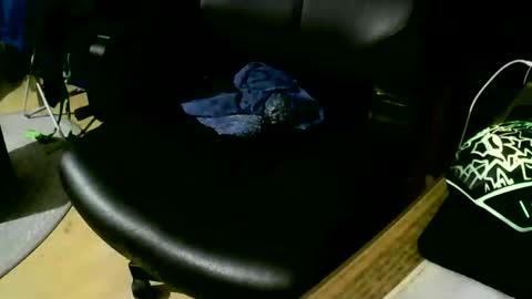 Snapshot of coyote017 chatting on 17, 11, 2025 coyote017 online show from 17, 11, 2025