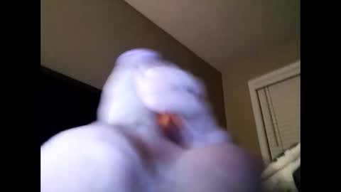 Cranada777 online show from 24, 2, 2025