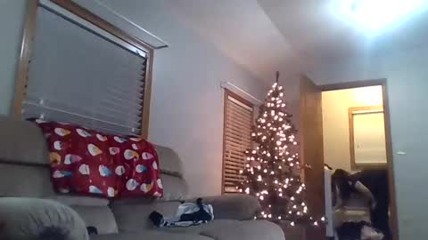 craveitoften online show from 26, 12, 2024