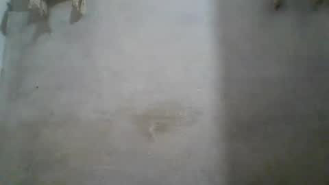 crazzy_booy online show from 11, 6, 2026
