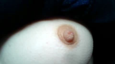 cremina online show from 26, 4, 2026