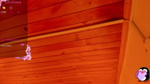 Cristal online show from 5, 4, 2026