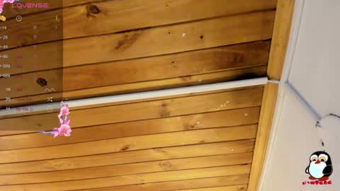 Cristal online show from 26, 4, 2026