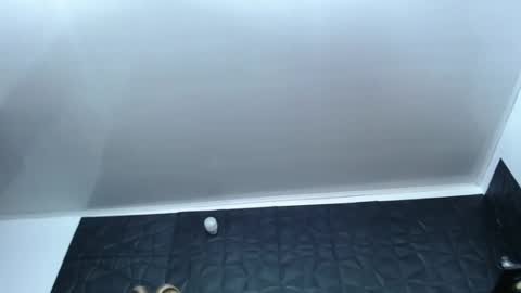 Hanna  online show from 17, 12, 2024