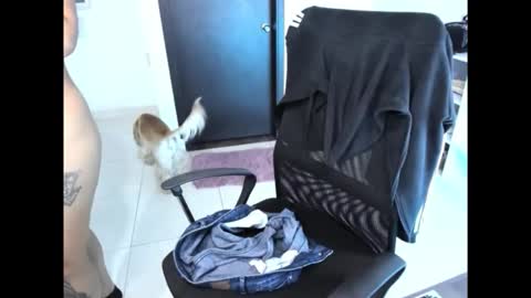 cristinasweet7 online show from 30, 11, 2025