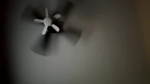 Critter2999LuvsFeet online show from 20, 10, 2025