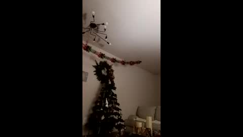 Snapshot of cruise713 chatting on 23, 12, 2025 Bella online show from 23, 12, 2025