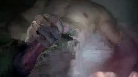 csleddin29 online show from 10, 1, 2025