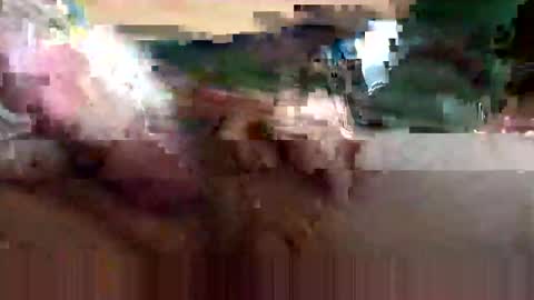 cubforotter online show from 12, 10, 2025