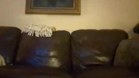 cubforotter online show from 19, 10, 2025