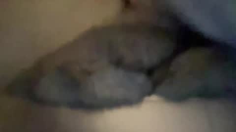 cuckgriff23 online show from 28, 4, 2026