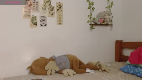Cuddly online show from 1, 6, 2026
