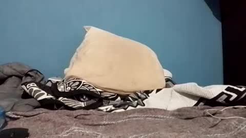 cumbian_chero online show from 22, 2, 2025