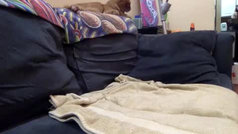 cumonover420 online show from 24, 4, 2026